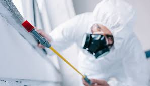 Best Real Estate Pest Inspections  in Meadow Vista, CA